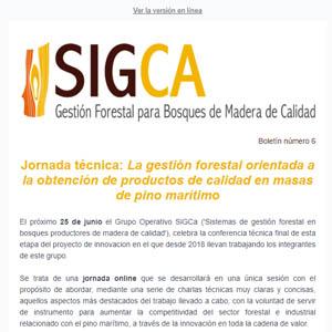 Boletín 6:  Jornada técnica: La gestión forestal orientada a la obtención de productos de calidad en masas de pino marítimo